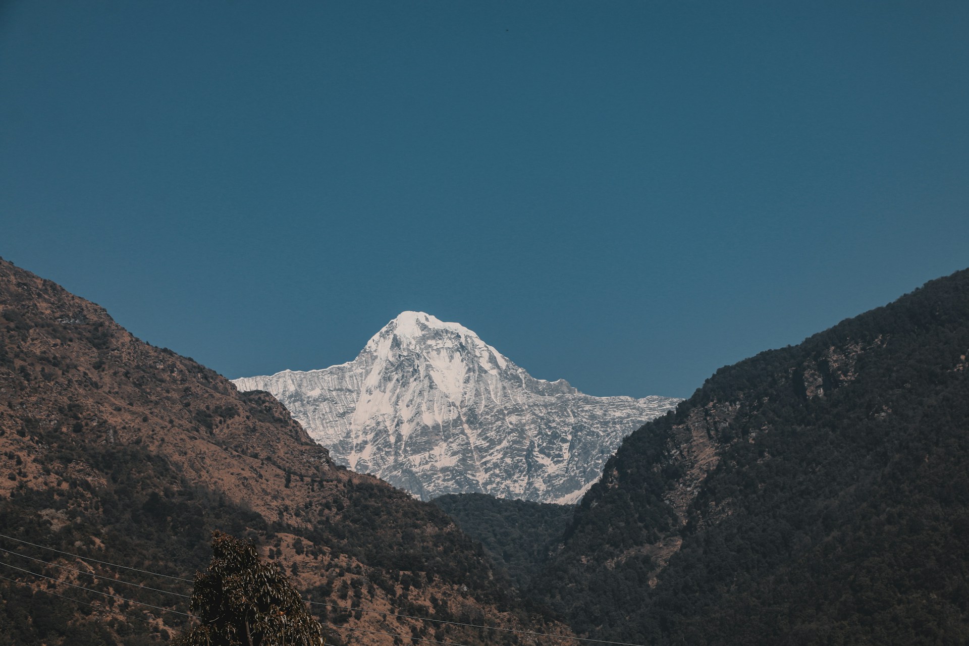 Annapurna Base Camp Trek